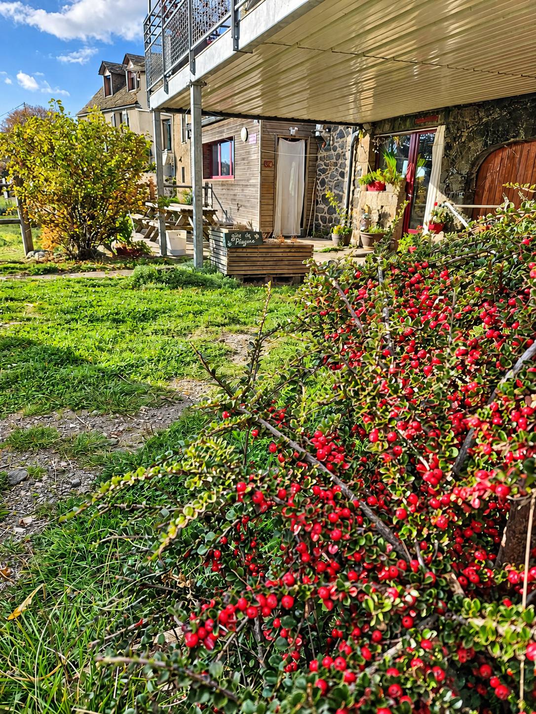 Devant un bâtiment en pierre et bois avec balcon, un buisson couvert de baies rouges occupe le premier plan, près d'une pelouse et d'une table de pique-nique.